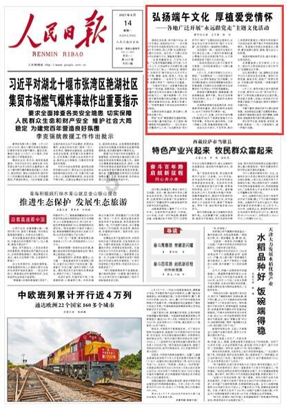 森系丛林